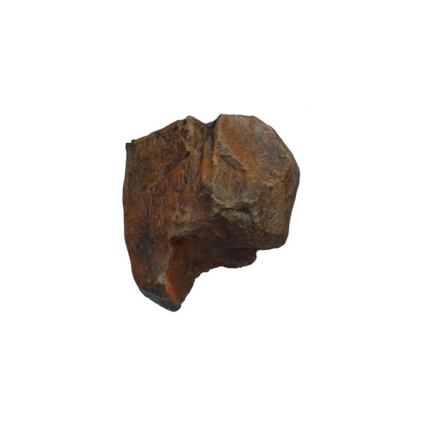 Replica Rock C