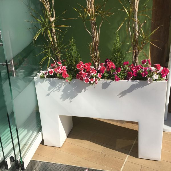 Barrier Planter Oley