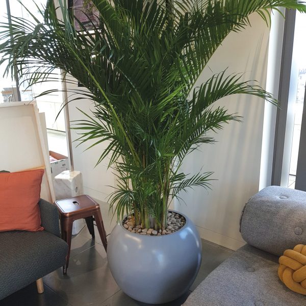 Circular Wide Neck Planter Spheres