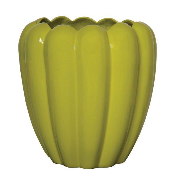 Funky Desktop Planter Tulip